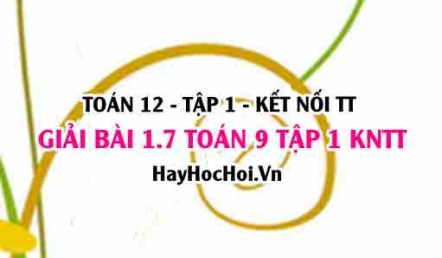 Bài 1.7 SGK Toán 12 tập 1 Kết nối tri thức